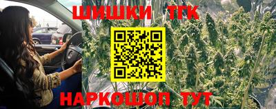 гашик Кунгур