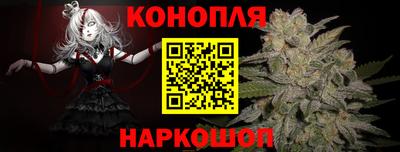 гашик Кунгур