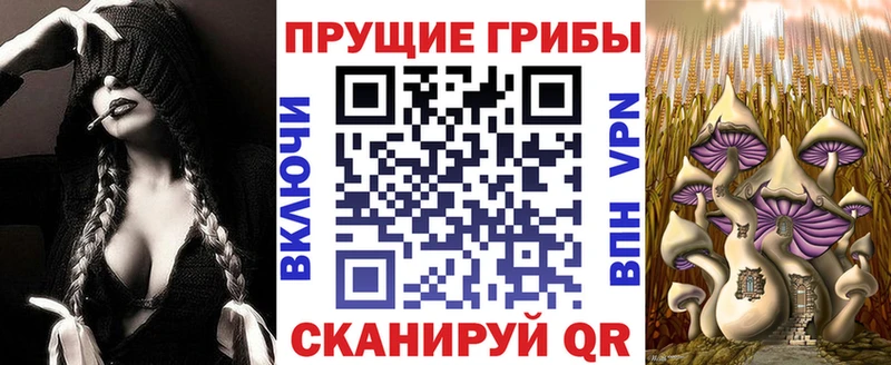 Псилоцибиновые грибы Psilocybe  закладки  Туапсе 